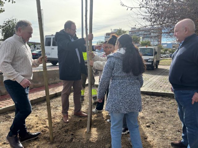 El Plan Foresta contribuye a que el CEIP Barriomar 74 estrene nuevo arbolado - 2, Foto 2