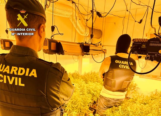 La Guardia Civil desmantelar, en Archena, un grupo delictivo que cultivaba gran cantidad de marihuana - 2, Foto 2