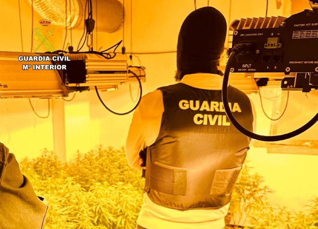 La Guardia Civil desmantelar, en Archena, un grupo delictivo que cultivaba gran cantidad de marihuana - 3, Foto 3