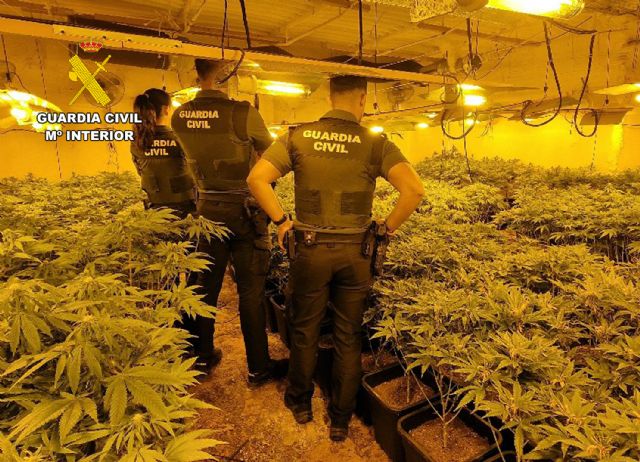La Guardia Civil desmantelar, en Archena, un grupo delictivo que cultivaba gran cantidad de marihuana - 5, Foto 5