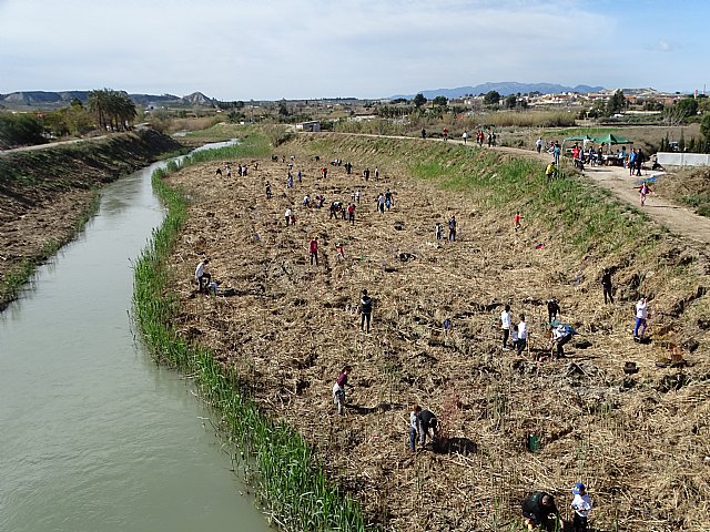 Más de 100 personas participan en la recuperación del río Segura en Ceutí, estableciendo un bosque de ribera. - 1, Foto 1