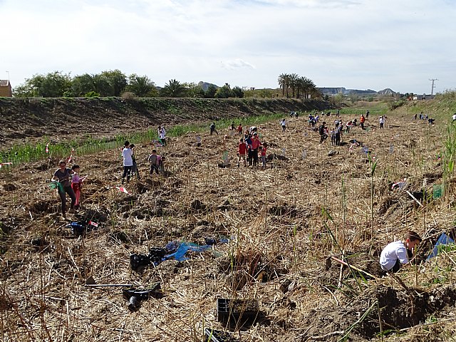 Más de 100 personas participan en la recuperación del río Segura en Ceutí, estableciendo un bosque de ribera. - 2, Foto 2