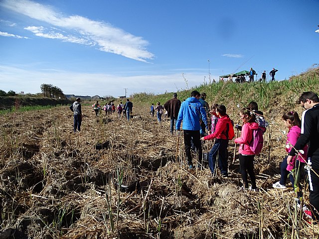 Más de 100 personas participan en la recuperación del río Segura en Ceutí, estableciendo un bosque de ribera. - 3, Foto 3