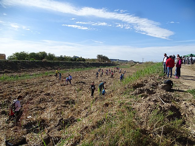 Más de 100 personas participan en la recuperación del río Segura en Ceutí, estableciendo un bosque de ribera. - 4, Foto 4