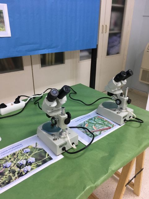 Cuando la enseñanza es también divulgación - 2, Foto 2