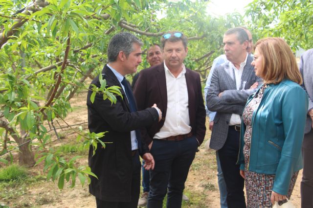 San Pedro del Pinatar acoge una reunión del Consejo de Agricultura Ecológica de la Región - 2, Foto 2