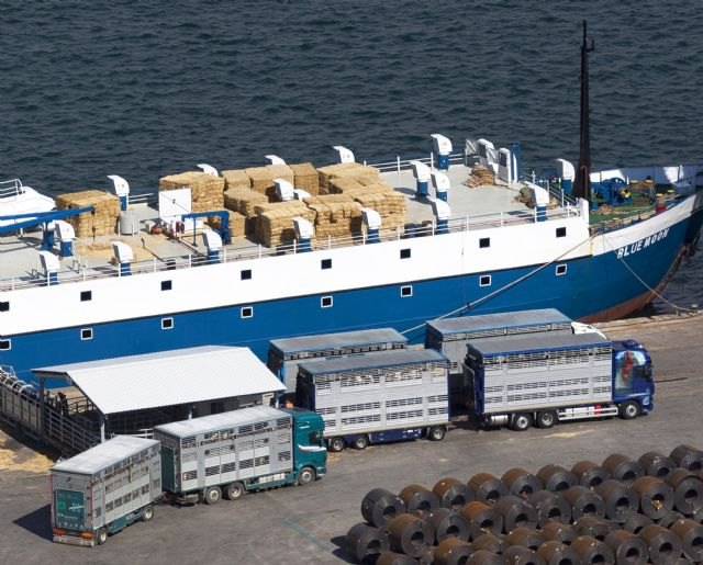 El Puerto de Cartagena reanuda la exportación del tráfico ganado vivo - 1, Foto 1