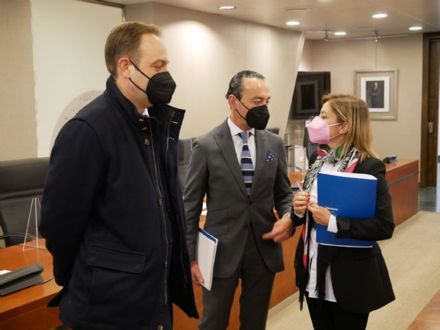 Mª Dolores Valcárcel: Apoyamos el uso de energías renovables y el autoconsumo con medidas fiscales que lo favorezcan - 1, Foto 1