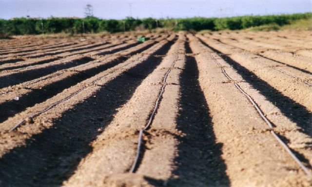 COEXPHAL y PROEXPORT solicitan al MITECO fondos europeos para avanzar en la economía circular del sector hortofrutícola - 1, Foto 1