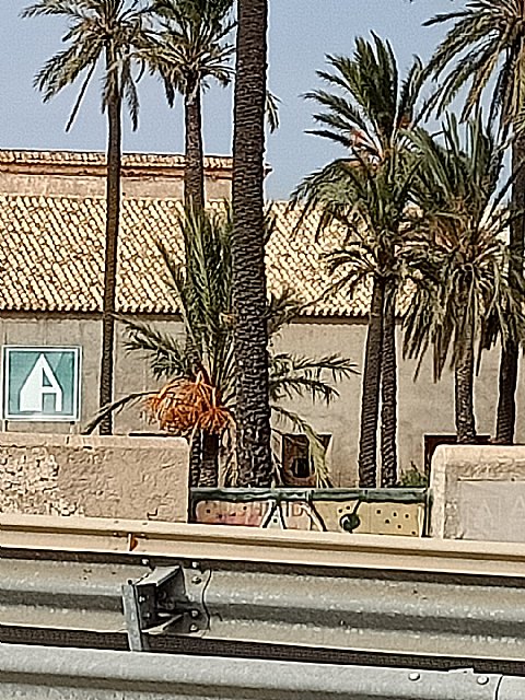 Aparecen butrones en el Monasterio de San Ginés de la Jara - 2, Foto 2