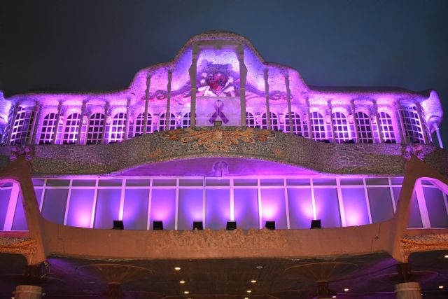 La Asamblea se ilumina de morado para conmemorar el Da Internacional de la Mujer, Foto 2