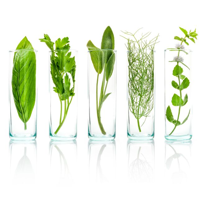 La UCM e Instituto Arkopharma ponen en marcha un ensayo clínico sobre la biodisponibilidad de las vitaminas naturales - 1, Foto 1