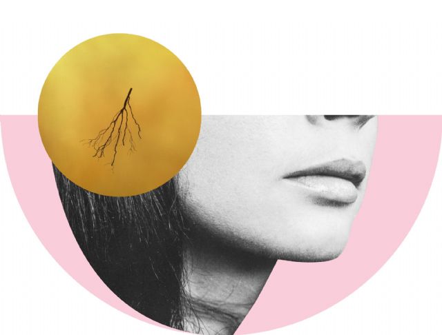 Nacen los Premios Únicas que valoran la trayectoria y el trabajo de mujeres relevantes de la Región de Murcia - 2, Foto 2