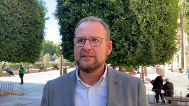 El PP pide una Comisión de investigación sobre las talas irregulares de arbolado en Murcia - 1, Foto 1