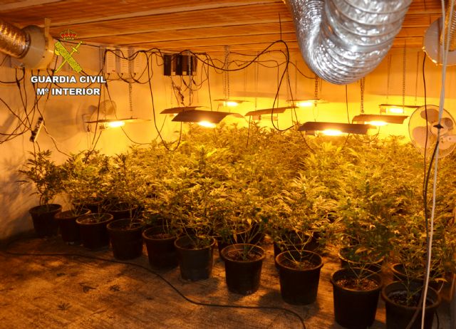 La Guardia Civil desmantela en una casa de campo de Cieza un invernadero subterráneo con 200 plantas de marihuana - 1, Foto 1