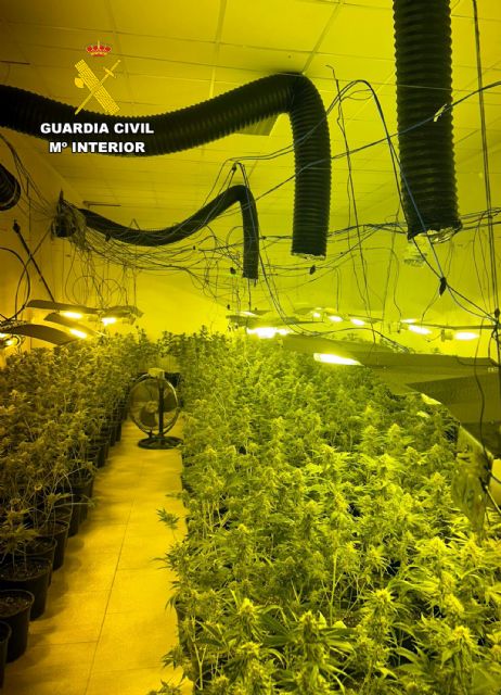 La Guardia Civil desmantela en Mazarrón un grupo delictivo que cultivaba y distribuía grandes cantidades de marihuana - 3, Foto 3