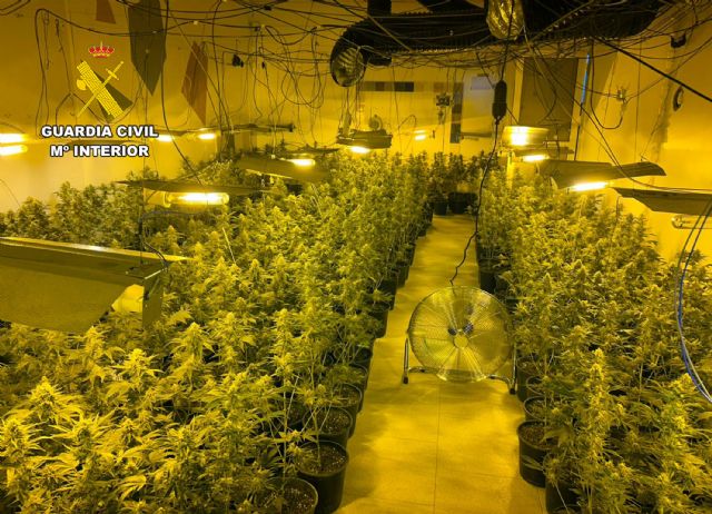 La Guardia Civil desmantela en Mazarrón un grupo delictivo que cultivaba y distribuía grandes cantidades de marihuana - 4, Foto 4