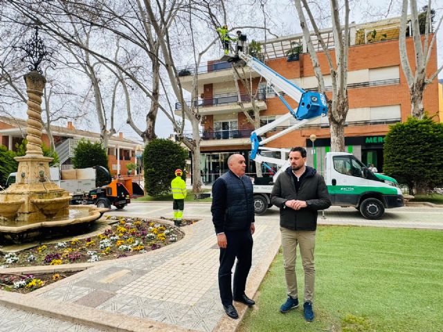 Lorca protege su patrimonio arbóreo con sistemas de sustentación de última tecnología para garantizar la seguridad ciudadana - 2, Foto 2