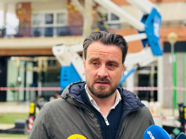 Lorca protege su patrimonio arbóreo con sistemas de sustentación de última tecnología para garantizar la seguridad ciudadana - 3, Foto 3