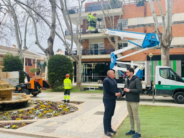 Lorca protege su patrimonio arbóreo con sistemas de sustentación de última tecnología para garantizar la seguridad ciudadana - 4, Foto 4