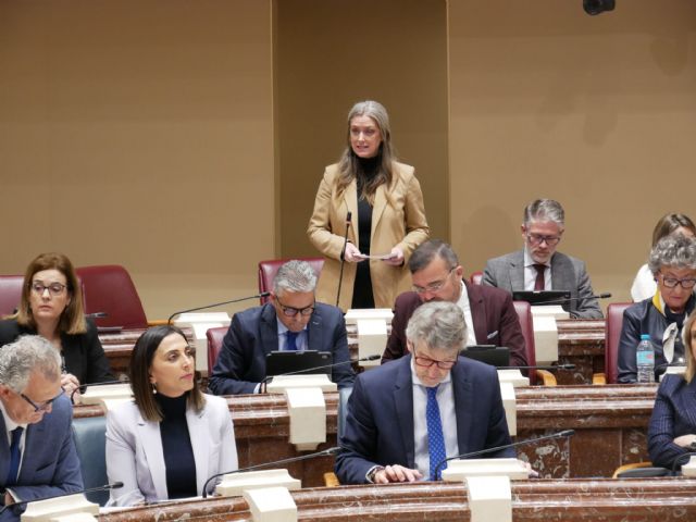 El PP resalta que frente a la ineficacia del macrogobierno de Sánchez, López Miras prioriza lo importante y marca una hoja de ruta clara contra la pobreza - 2, Foto 2