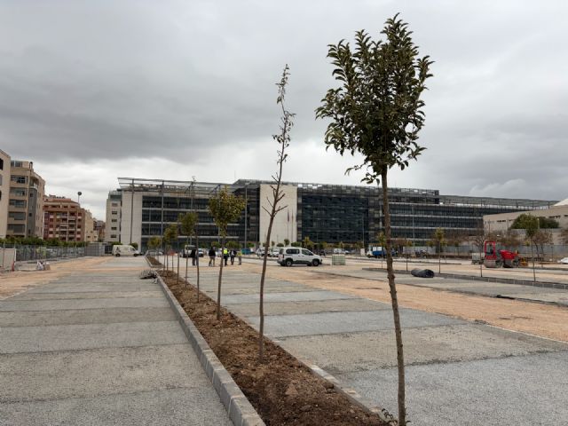 El aparcamiento de Hacienda abrirá el 25 de marzo y será gratuito hasta después de Fiestas de Primavera - 3, Foto 3