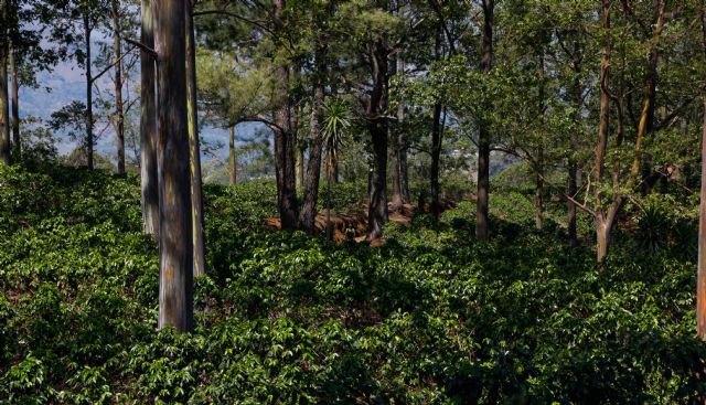Andrés Lledó recupera fuerzas en una etapa con mejores condiciones meteorológicas - 1, Foto 1