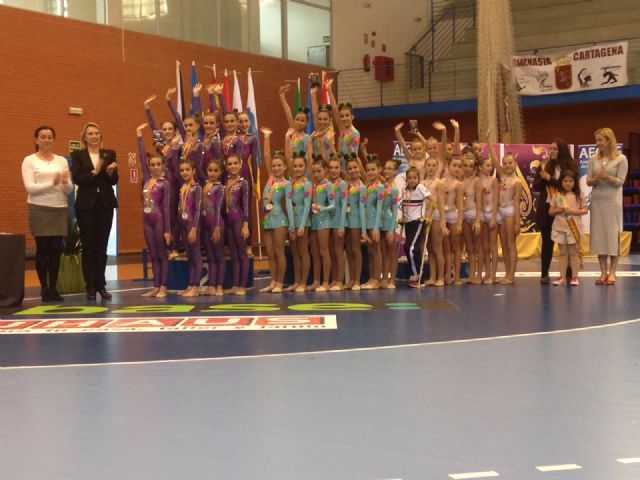 La Gimnasia Estética de Grupo de Cartagena se alza como campeona de la Copa de España 2015/16 - 1, Foto 1