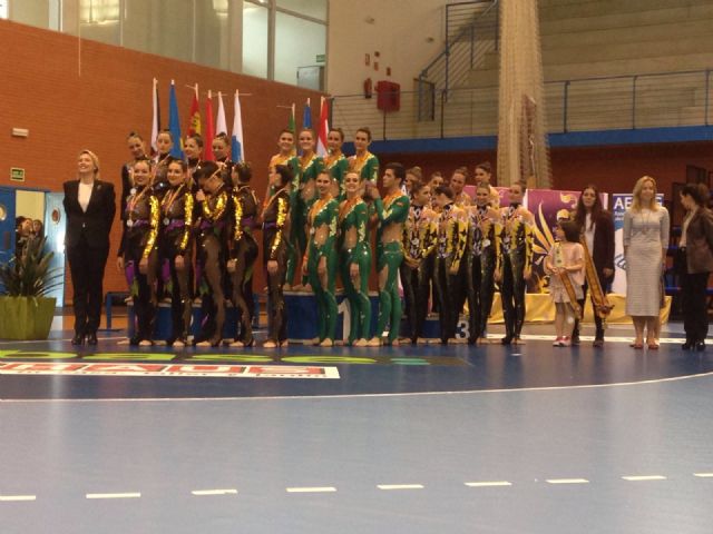 La Gimnasia Estética de Grupo de Cartagena se alza como campeona de la Copa de España 2015/16 - 2, Foto 2