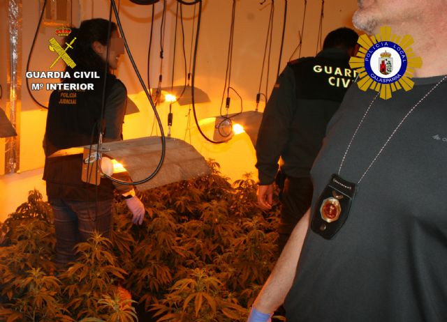 Desmantelado un invernadero clandestino de marihuana tipo indoor en Calasparra - 1, Foto 1