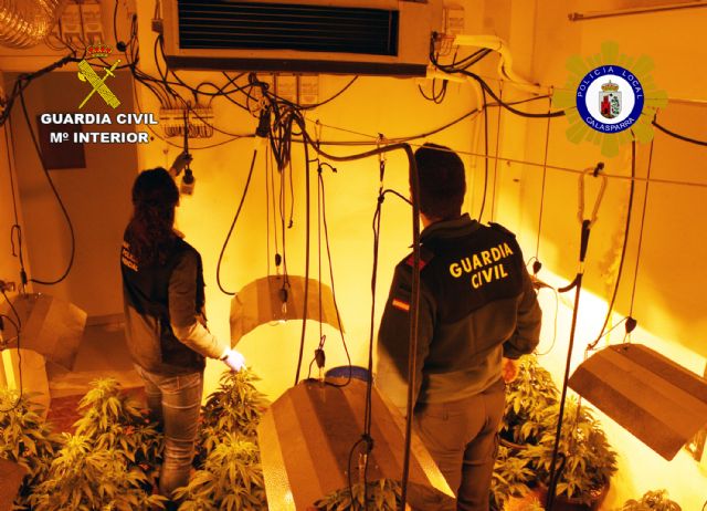 Desmantelado un invernadero clandestino de marihuana tipo indoor en Calasparra - 2, Foto 2