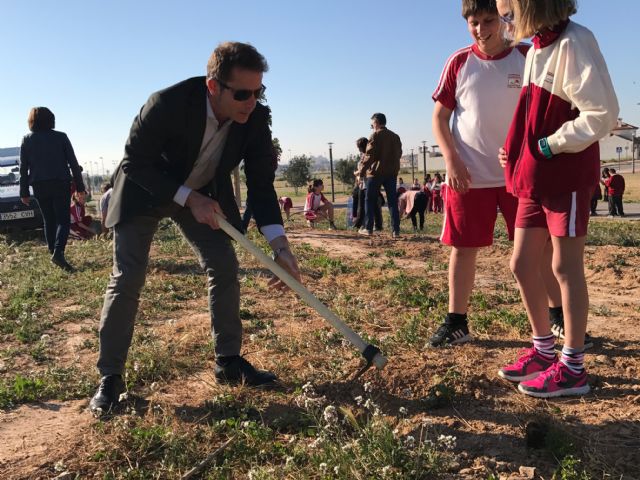 Plantación de árboles autóctonos en Torre-Pacheco - 1, Foto 1