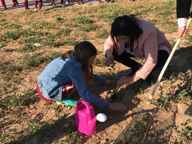 Plantación de árboles autóctonos en Torre-Pacheco - 2, Foto 2
