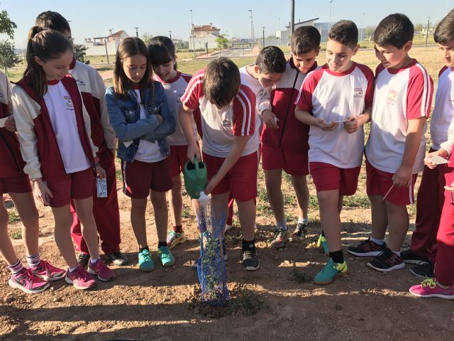Plantación de árboles autóctonos en Torre-Pacheco - 4, Foto 4