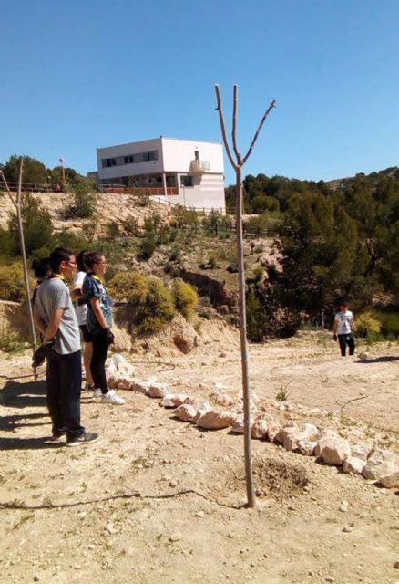 La Rambla Salada acogió en Las Torres de Cotillas una jornada de voluntariado medioambiental - 2, Foto 2