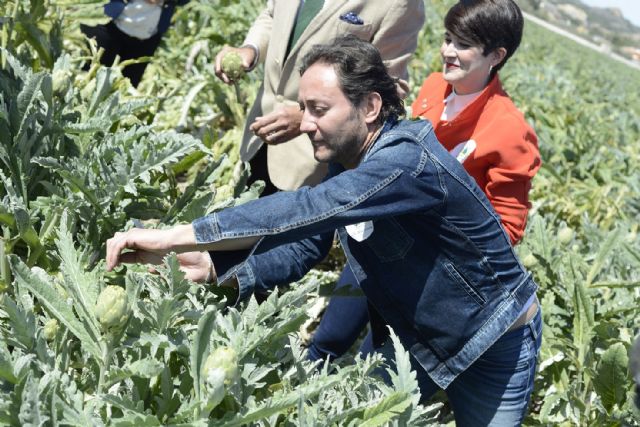 Alcachofa de España insta a la unión de los agricultores para defender este producto nacional - 1, Foto 1
