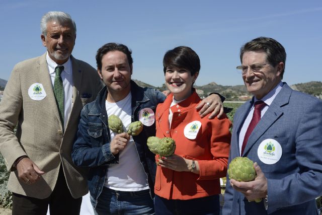 Alcachofa de España insta a la unión de los agricultores para defender este producto nacional - 2, Foto 2