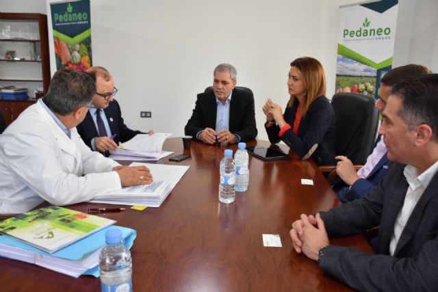 Las exportaciones de frutas y verduras congeladas crecieron un 18,3 por ciento y llegaron a los 159 millones - 1, Foto 1