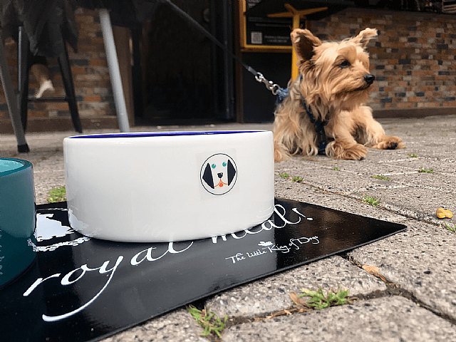 Restaurantes y terrazas de la Comunitat Valenciana comienzan a incorporar un menú para perros en su carta - 1, Foto 1