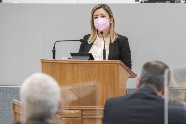 Mª Dolores Valcárcel: Es Sánchez el que castiga a los autónomos con ayudas insuficientes que dejan fuera a sectores estratégicos de la región - 1, Foto 1