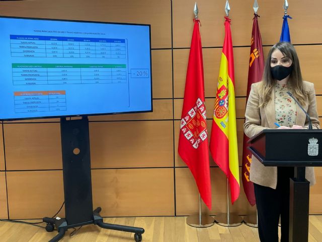 El PP propone una bajada del 20% en las tarifas de la ORA - 1, Foto 1