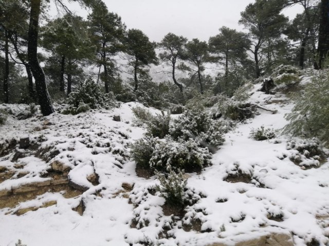 Se recomienda precaución a los conductores en la subida hacia Sierra Espuña debido al riesgo causado por la nieve