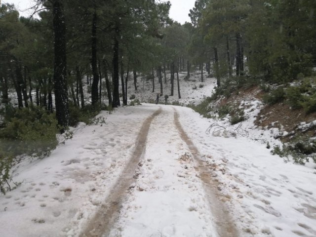 Se recomienda precaución a los conductores en la subida hacia Sierra Espuña debido al riesgo causado por la nieve, Foto 2
