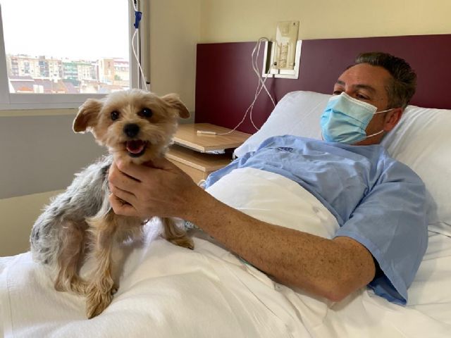 Ribera Hospital de Molina implanta un protocolo para permitir visitas de mascotas a pacientes ingresados - 1, Foto 1