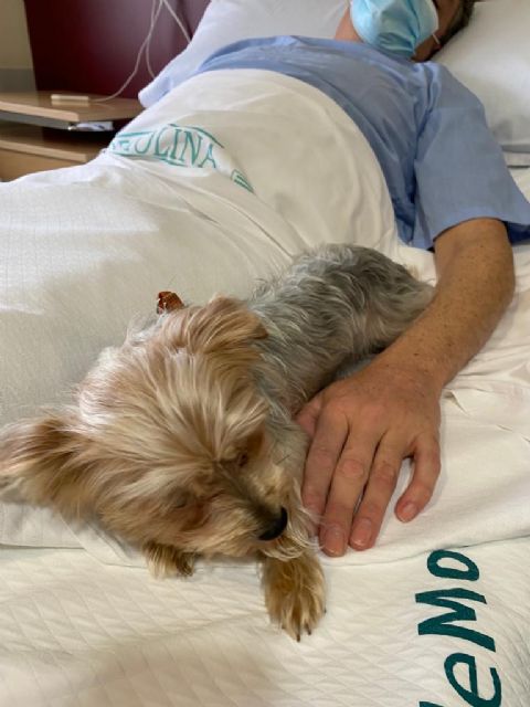 Ribera Hospital de Molina implanta un protocolo para permitir visitas de mascotas a pacientes ingresados - 2, Foto 2