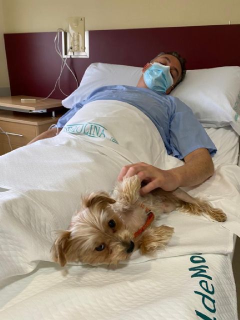 Ribera Hospital de Molina implanta un protocolo para permitir visitas de mascotas a pacientes ingresados - 3, Foto 3