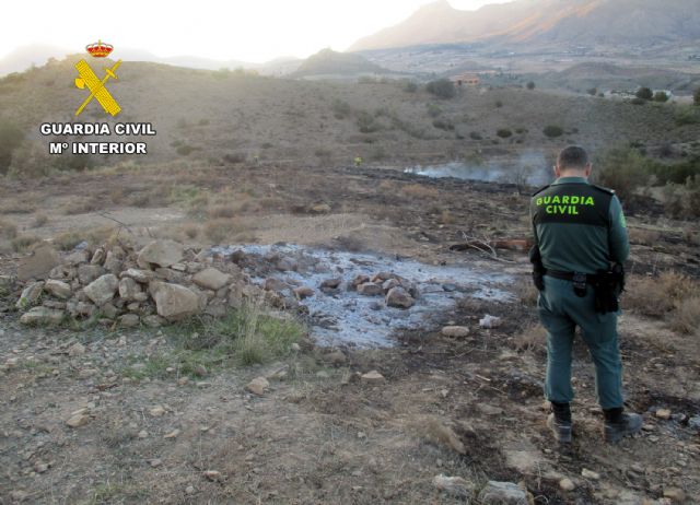 La Guardia Civil investiga al presunto autor de dos incendios forestales en Lorca - 2, Foto 2