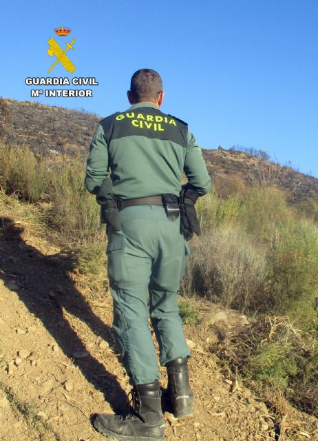 La Guardia Civil investiga al presunto autor de dos incendios forestales en Lorca - 3, Foto 3