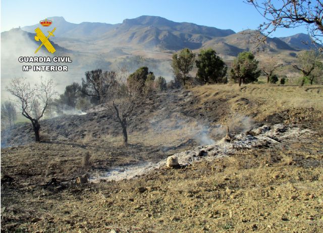 La Guardia Civil investiga al presunto autor de dos incendios forestales en Lorca - 4, Foto 4