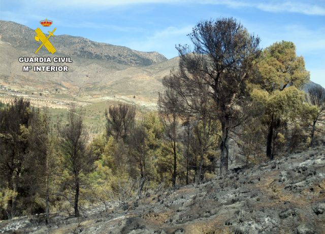 La Guardia Civil investiga al presunto autor de dos incendios forestales en Lorca - 5, Foto 5